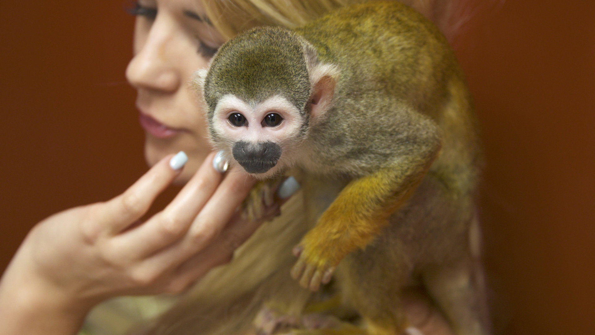 Dr. K's Exotic Animal ER S05E02 backdrop