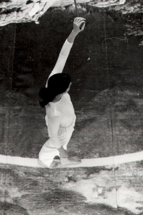 Poster for Die einsame Spaziergängerin