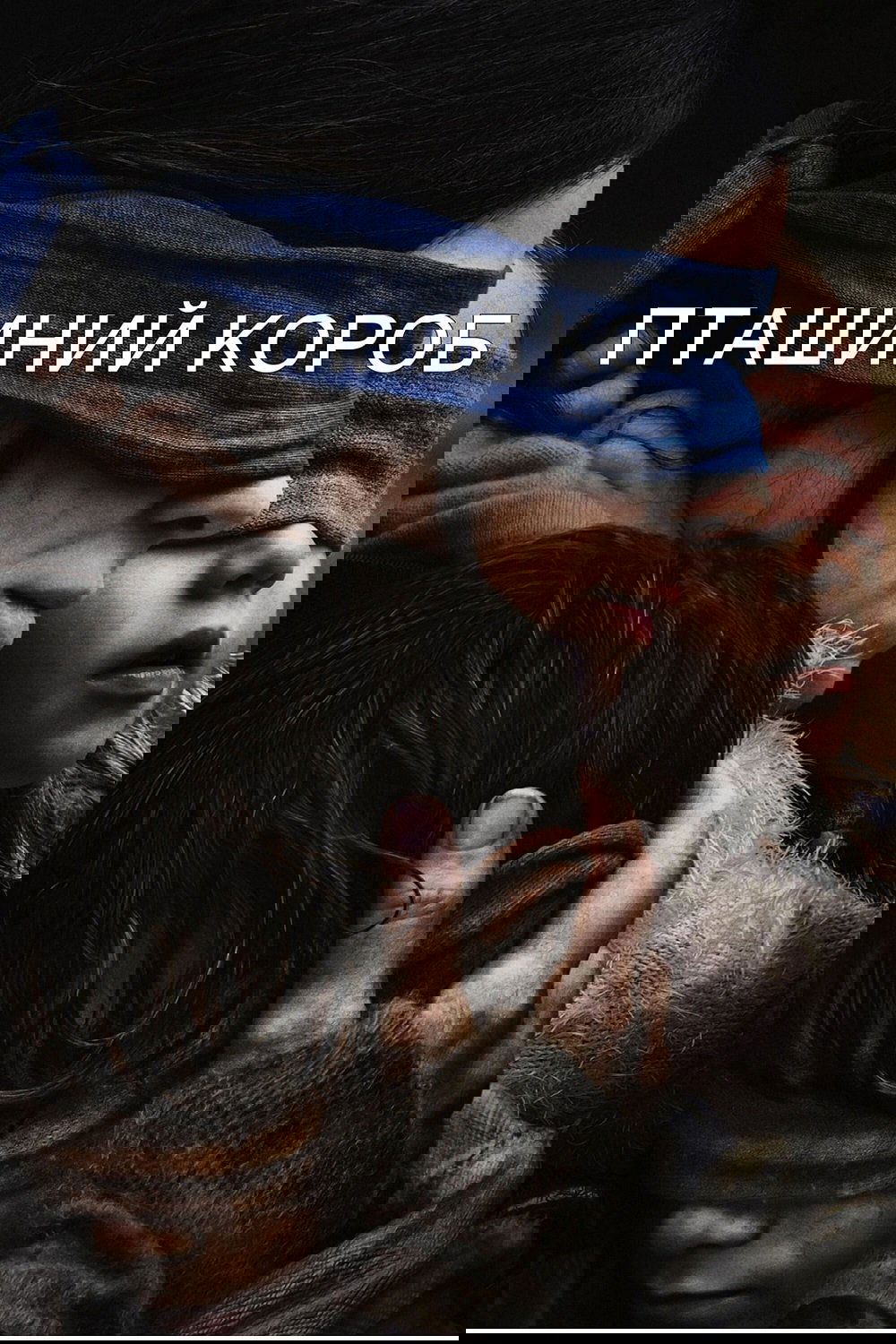 Пташиний короб