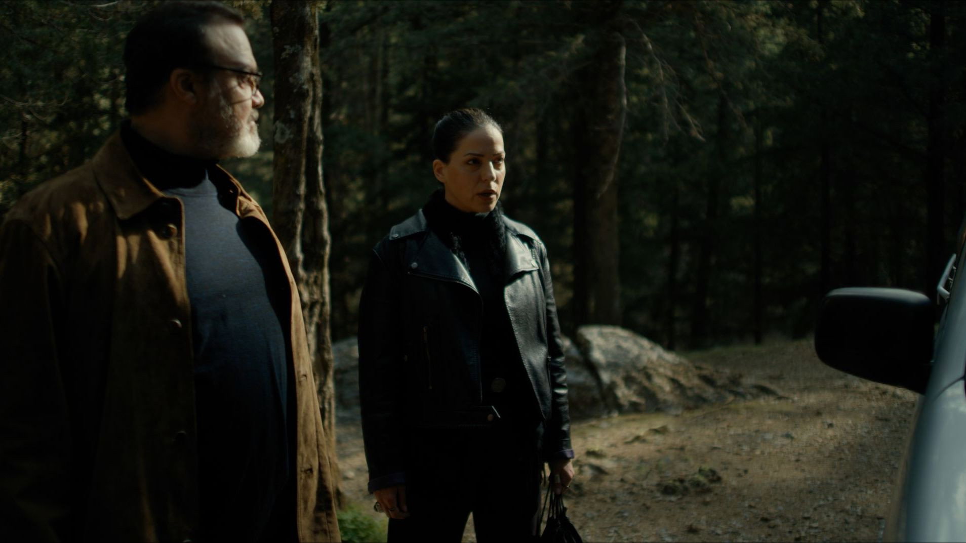 Secret of the Forest