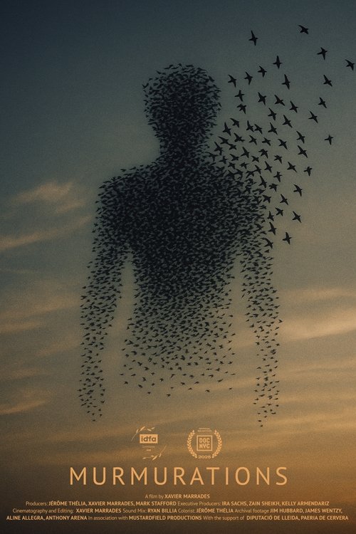 Murmurations