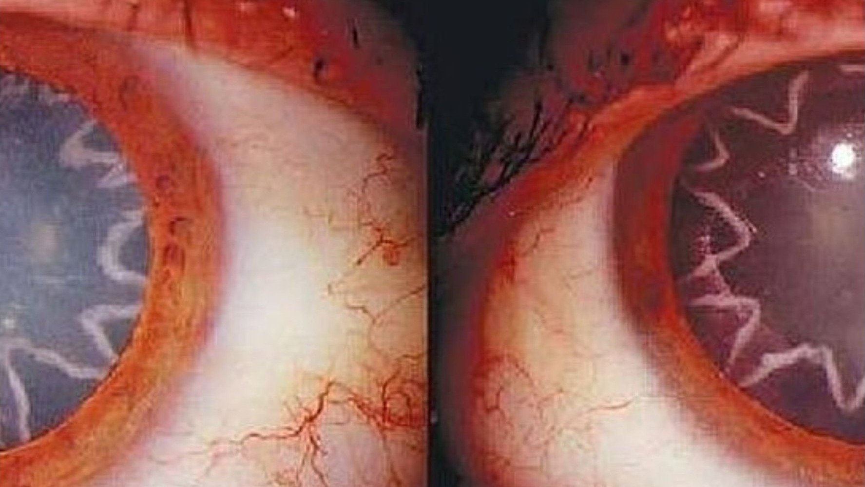 Unspeakable: Beyond The Wall of Sleep (2024)