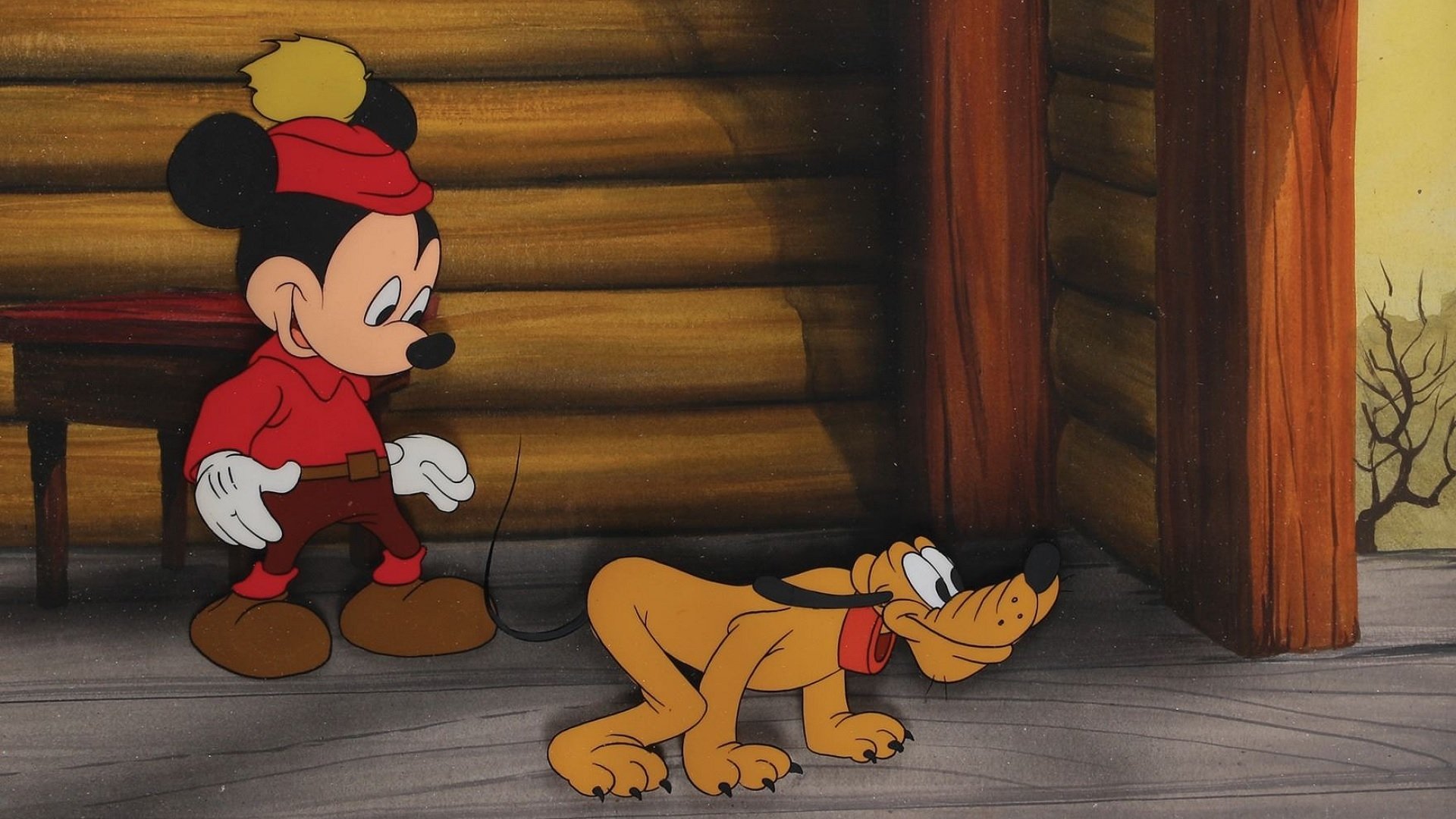 Squatter's Rights (1946)