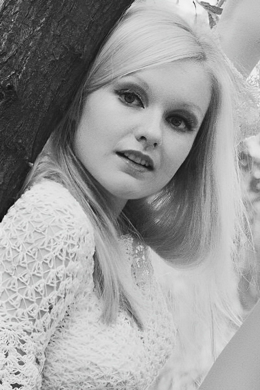 et billede af Elaine Donnelly