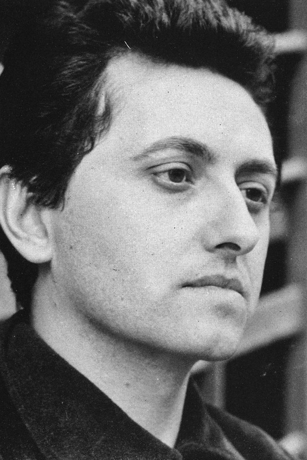 Pier Luigi Modesti's picture in the cast