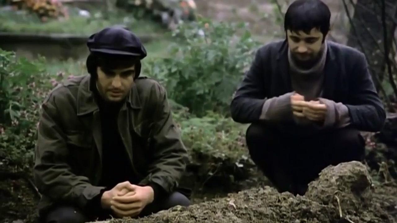 My Dear Brother (1973)