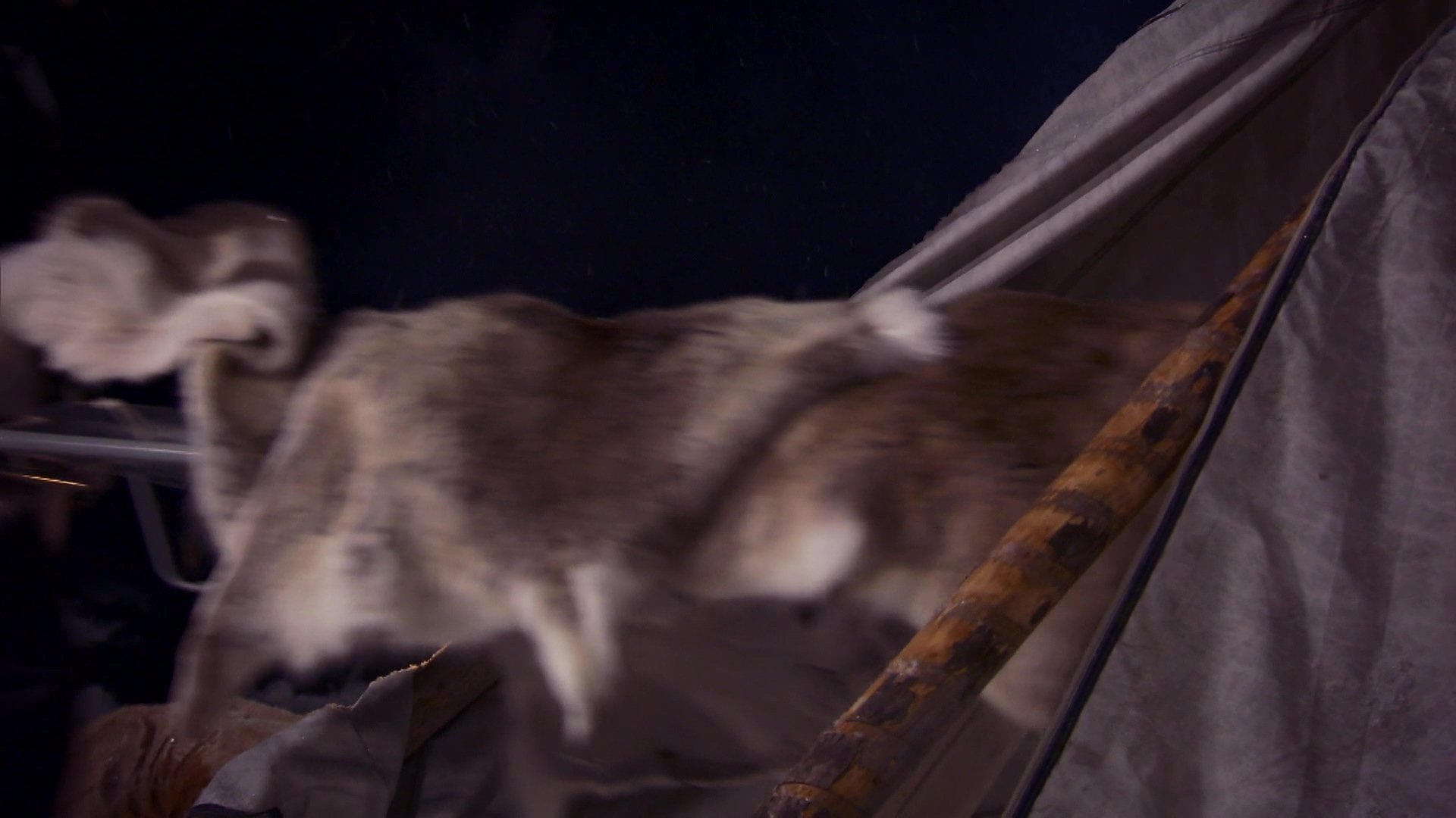 Thumbnail for Episode 5 Season 1 Episode 5
