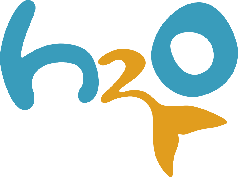 H2O: Just Add Water