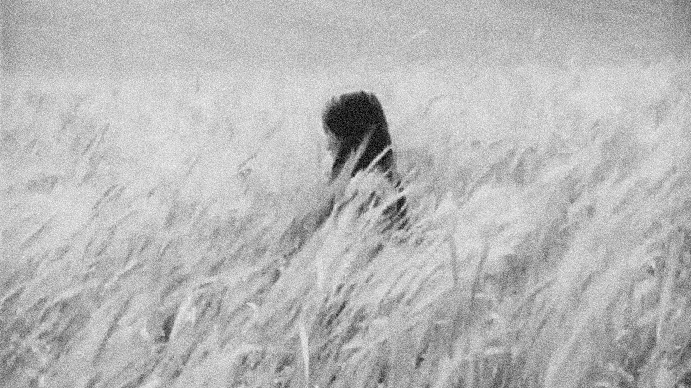 Anoush (1931)