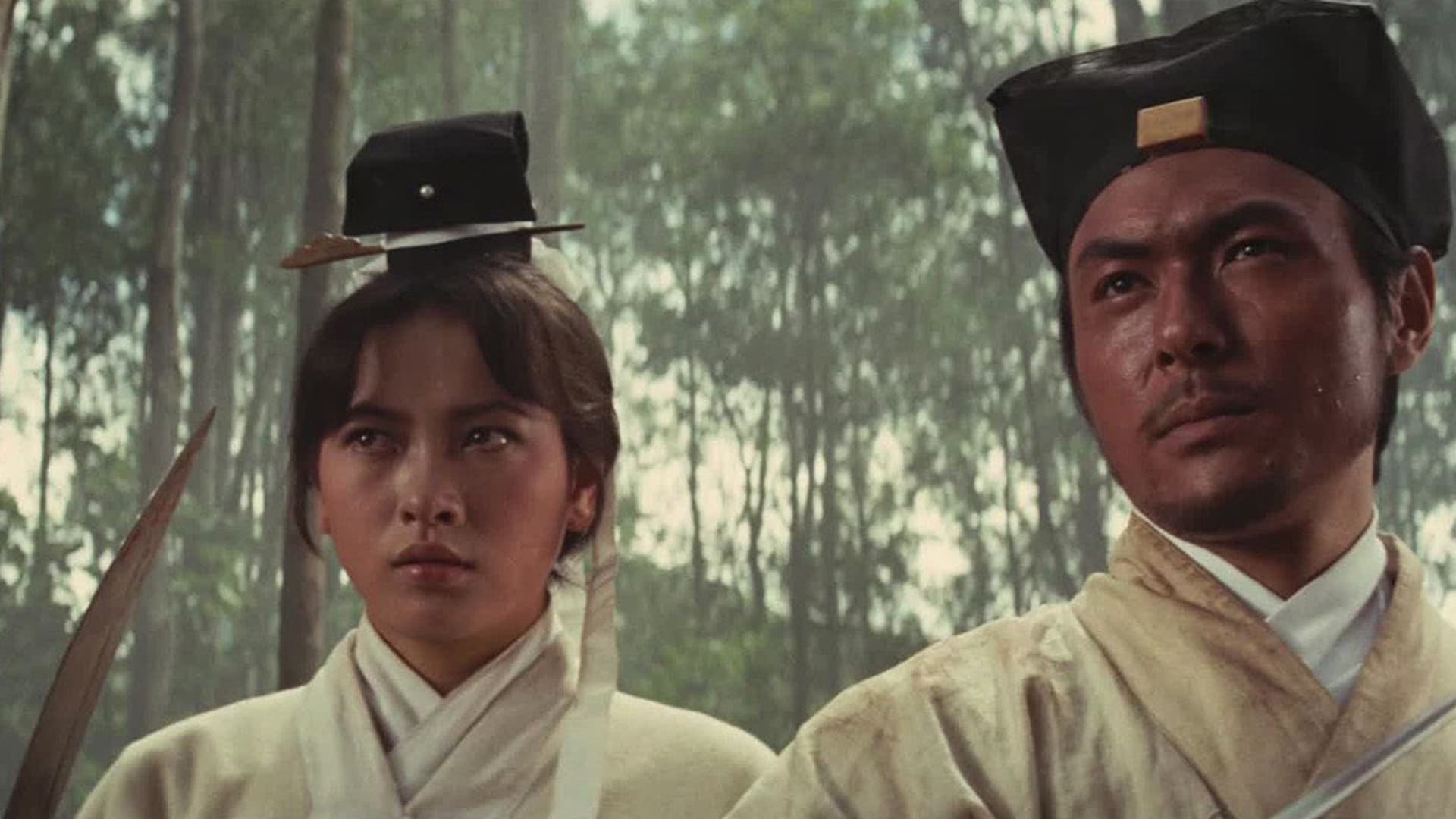 俠女 (1971)