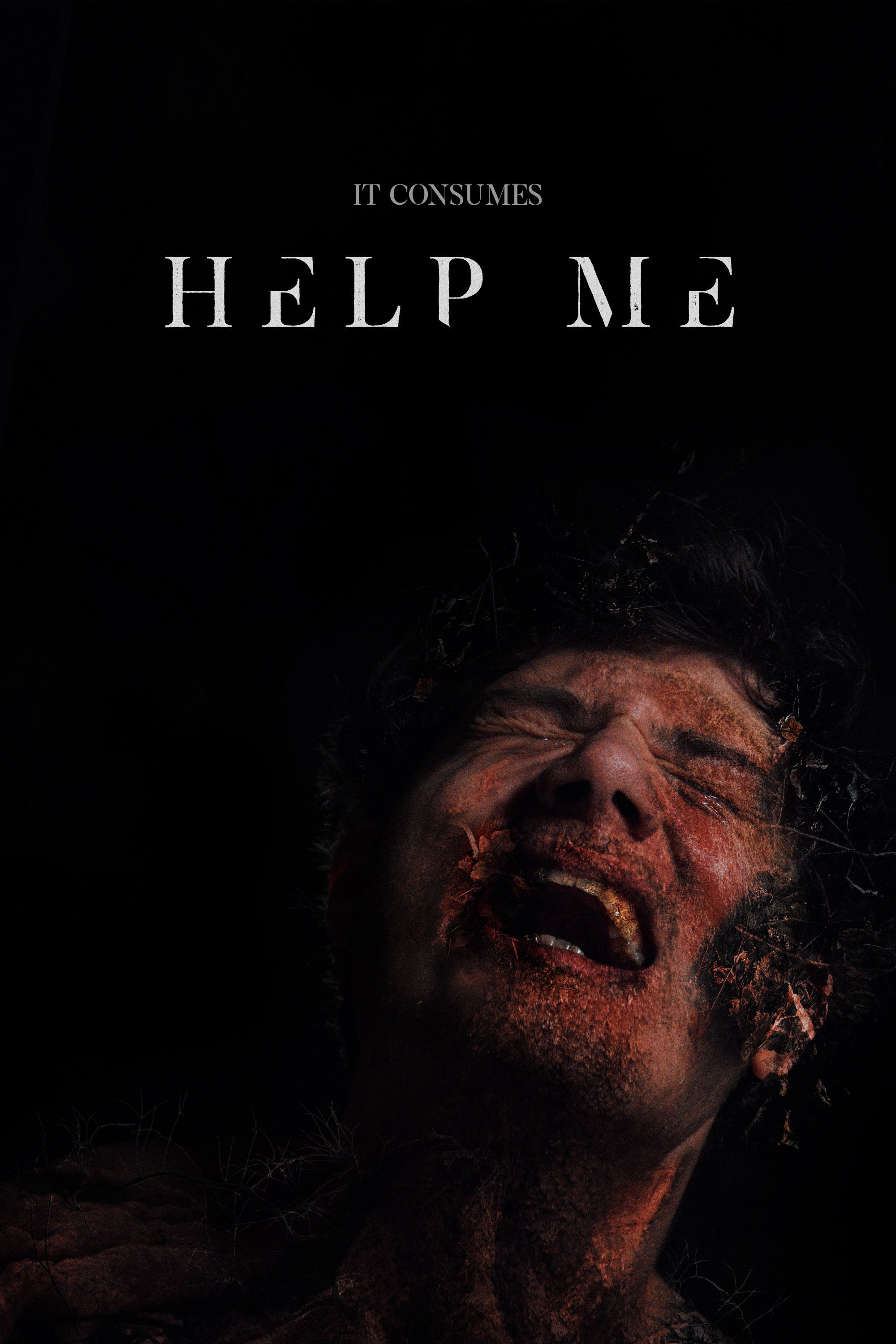 Help Me (null) movie poster