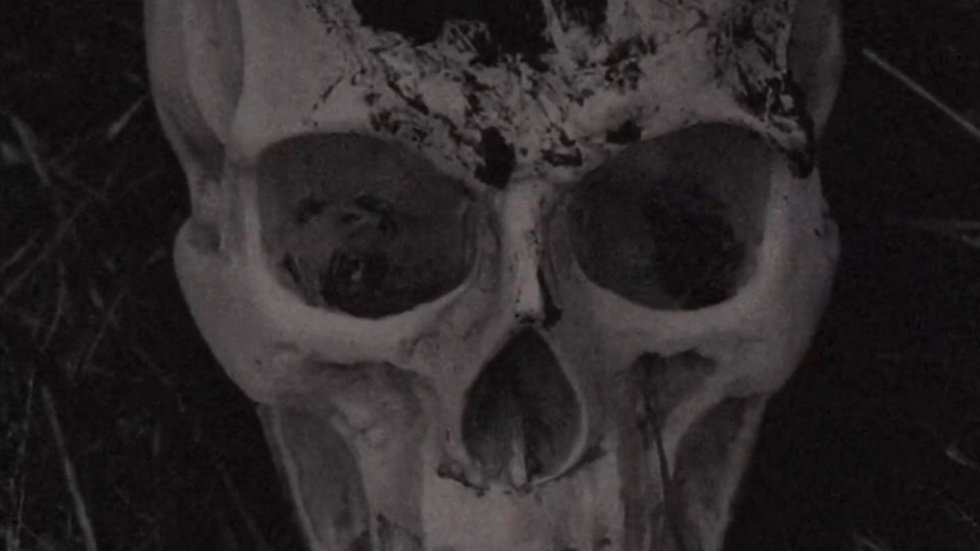 The Volition Of A Bygone Priest