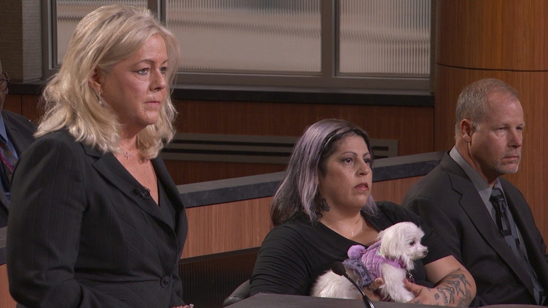 Judy Justice Season 1 :Episode 95  Pet Adoption Fail; Texas Natural Disaster Repair