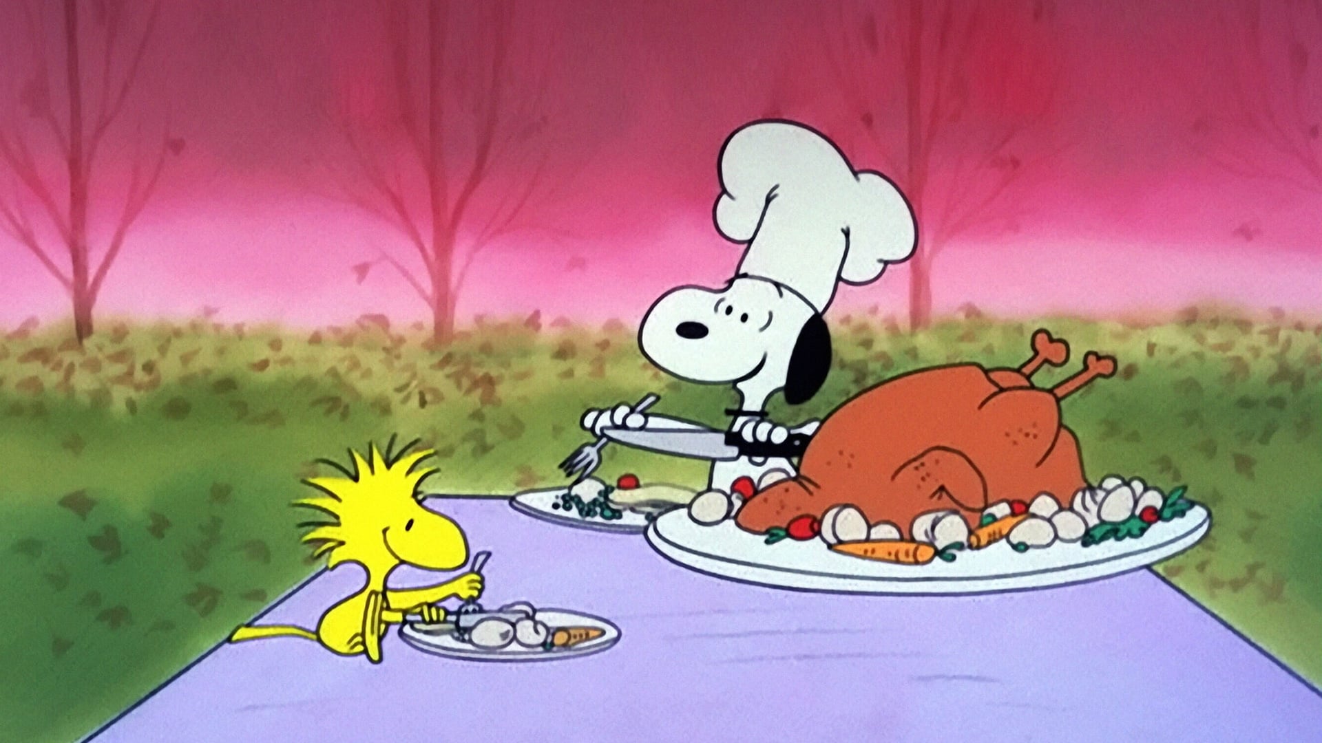 È il Giorno del ringraziamento, Charlie Brown