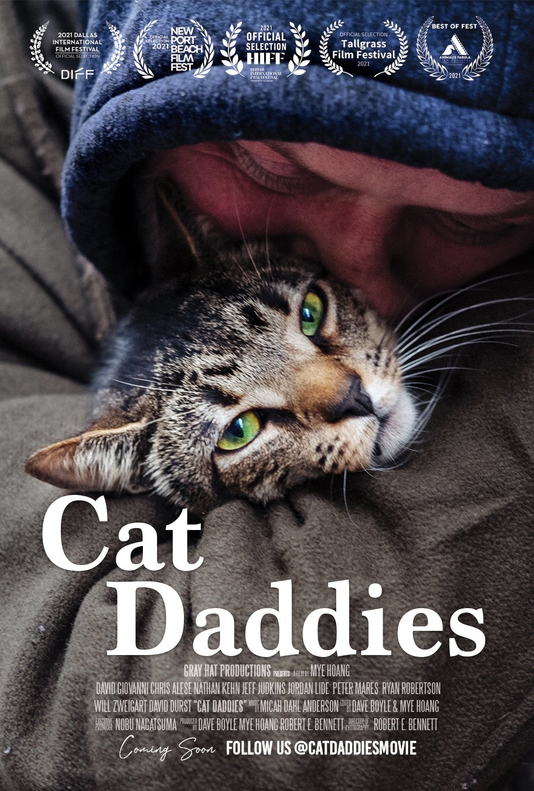 Cat Daddies