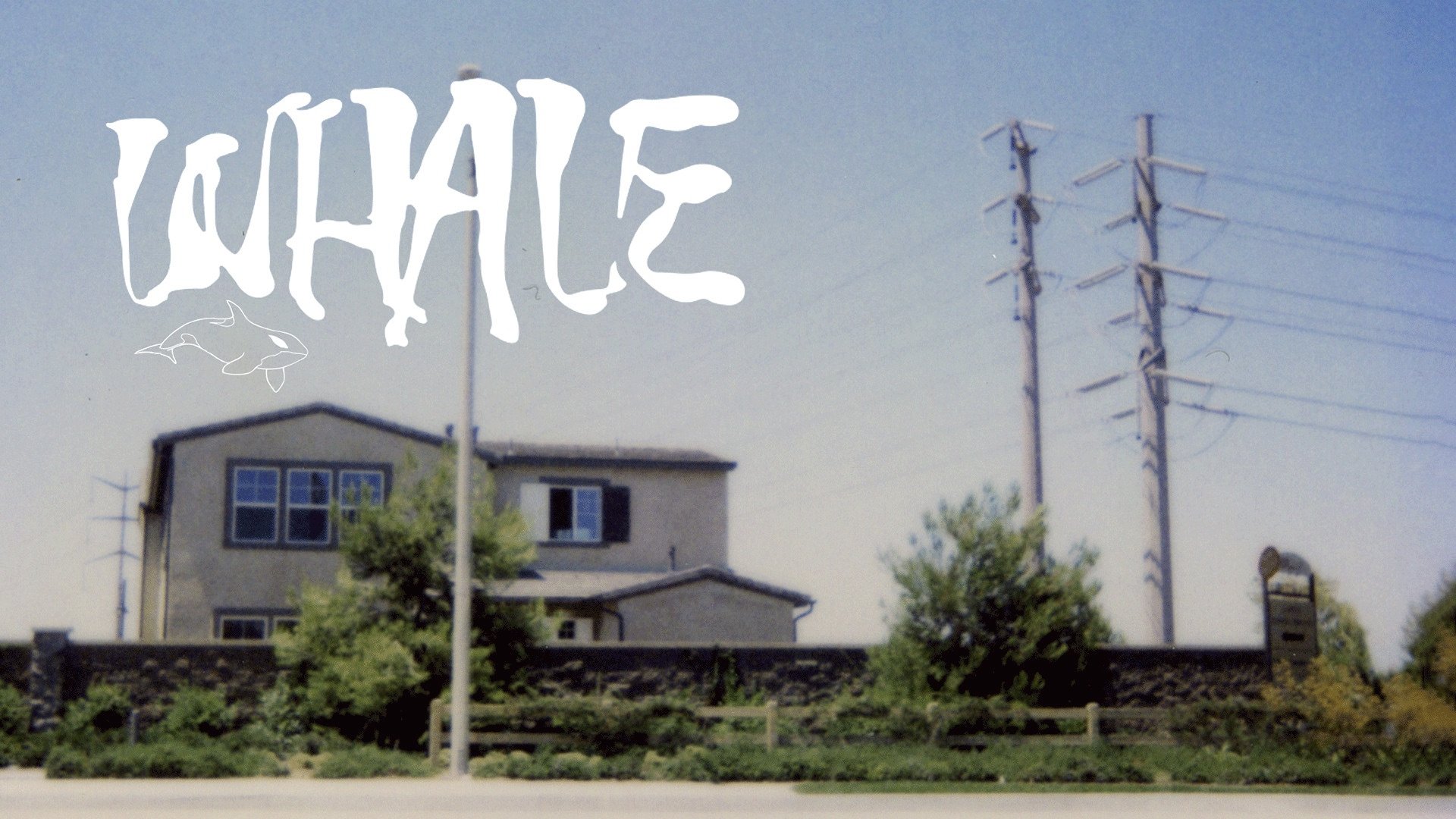 Whale (2010)