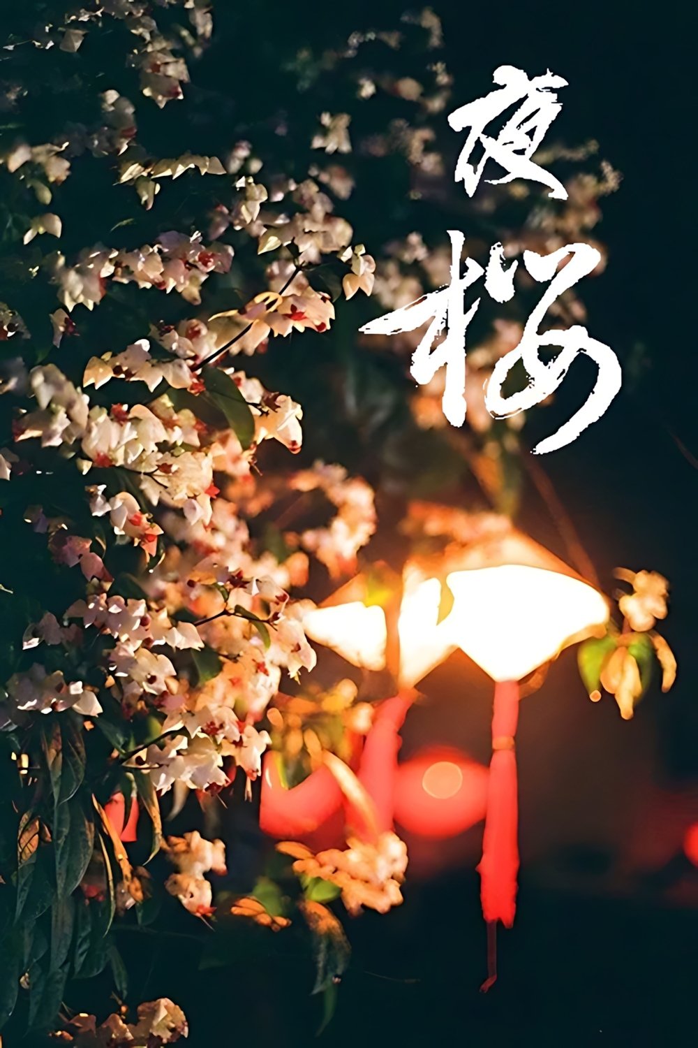 Content cover