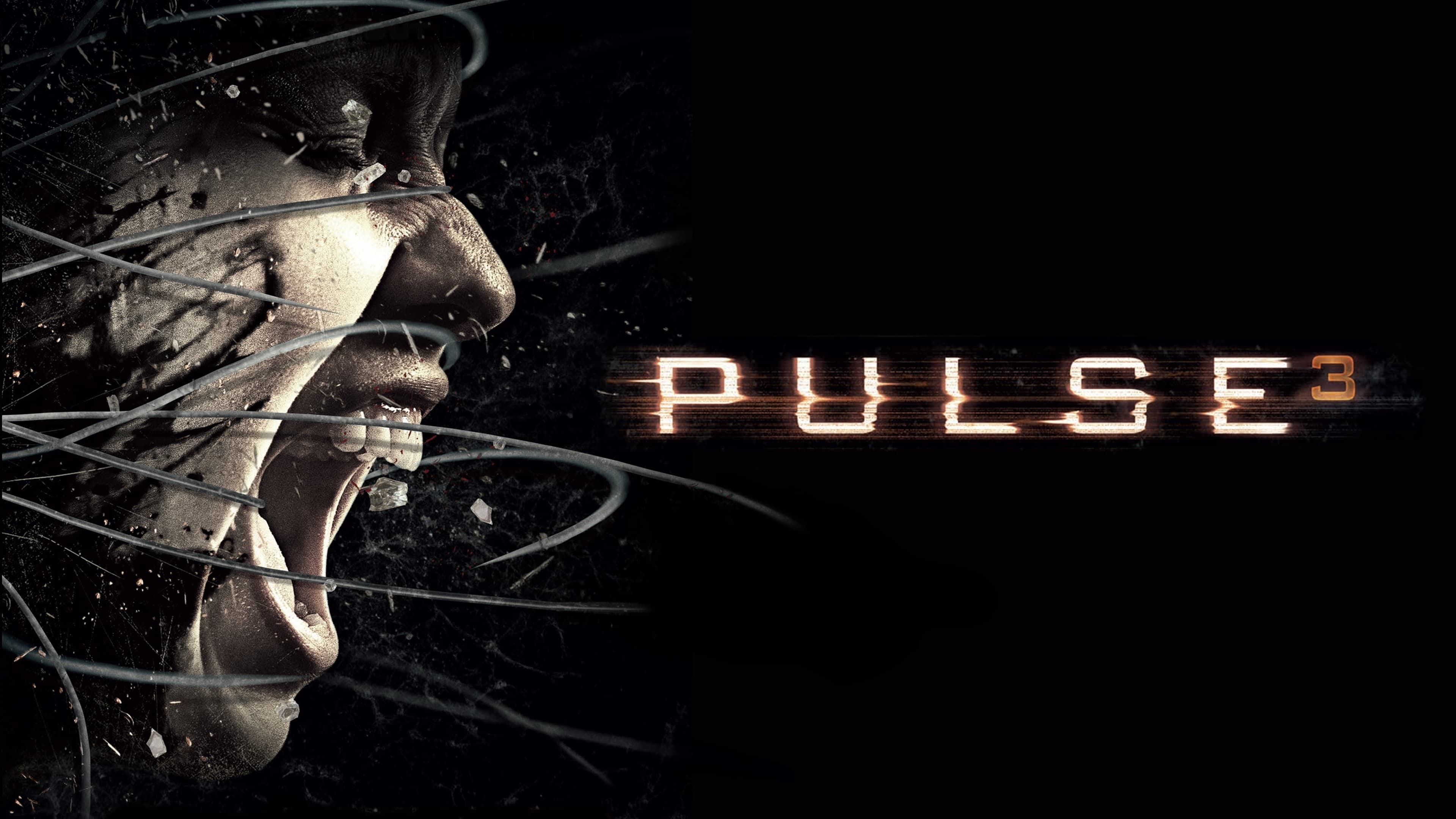 Puls 3: Invaze (2008)