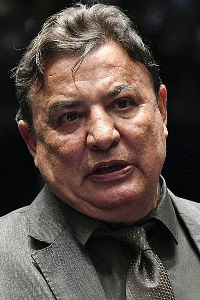 et billede af Zezé Perrela