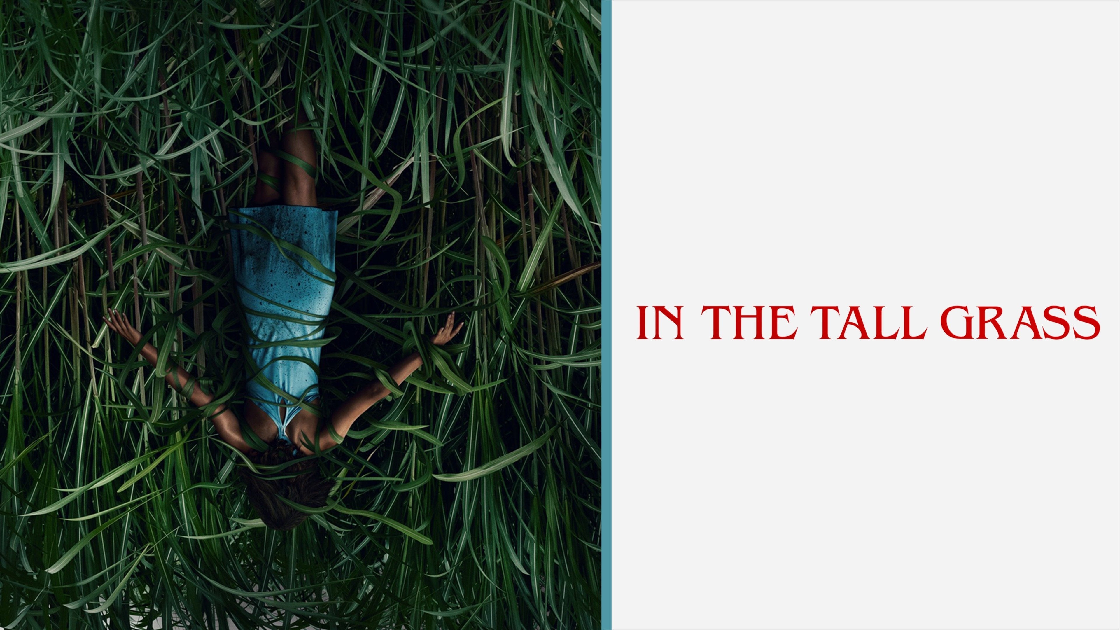 In the Tall Grass (2019)