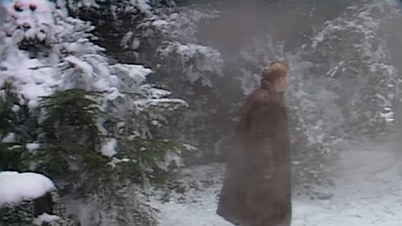 The Chronicles of Narnia: The Lion, the Witch & the Wardrobe (1988)