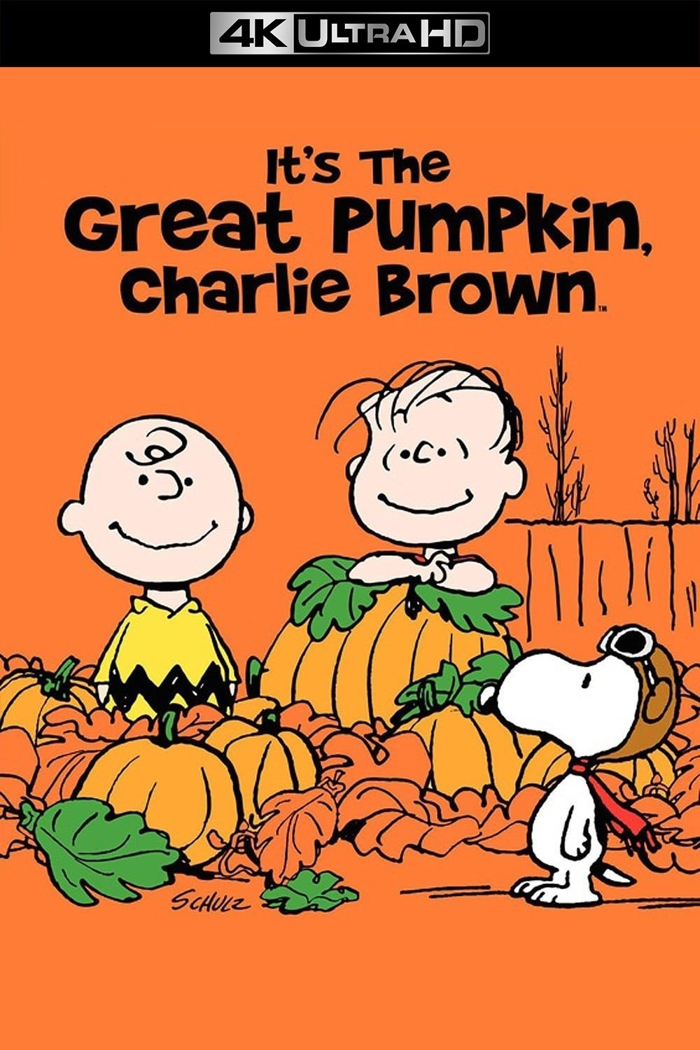 It's the Great Pumpkin, Charlie Brown