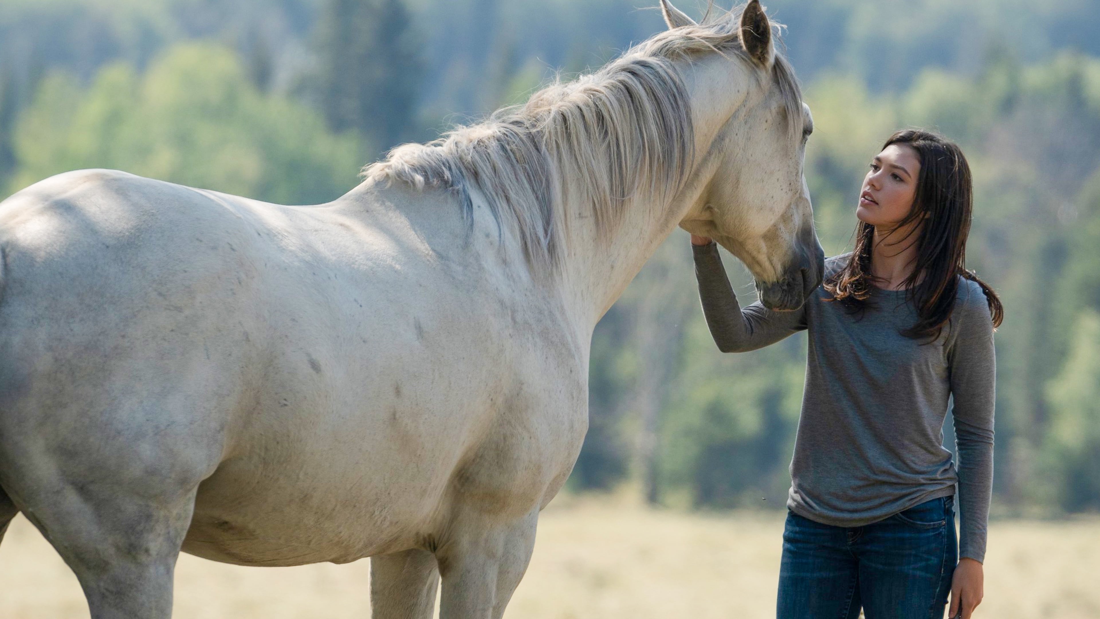 Heartland - Paradies für Pferde Staffel 12 :Folge 10 