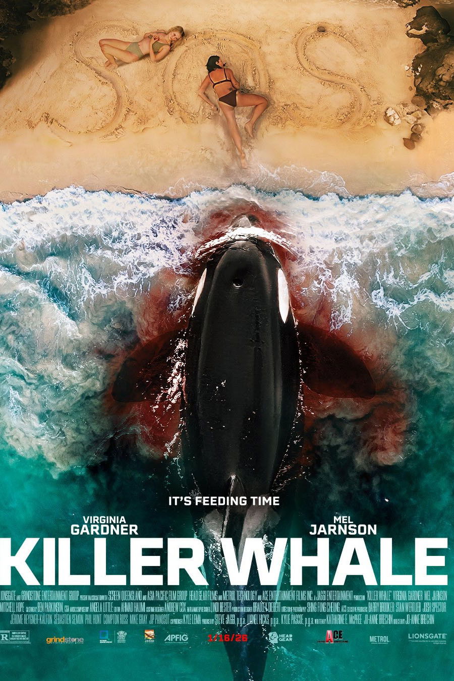 Poster for Killer Whale