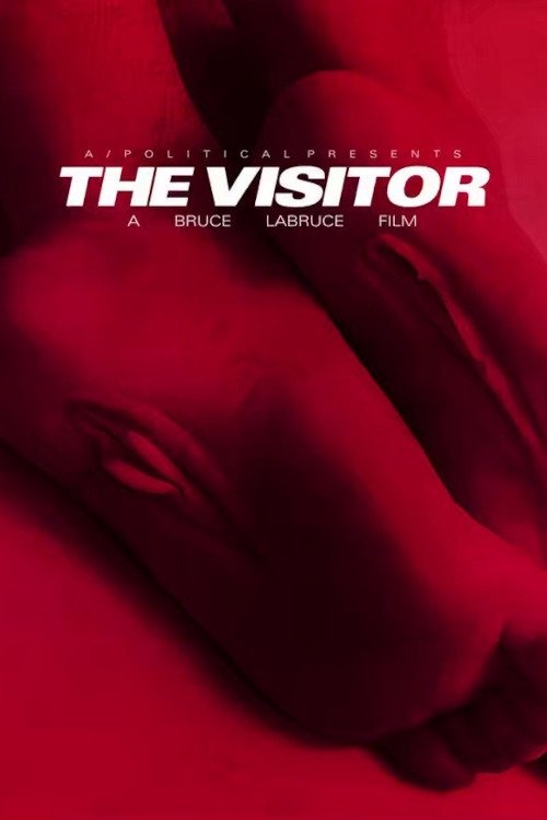 The Visitor