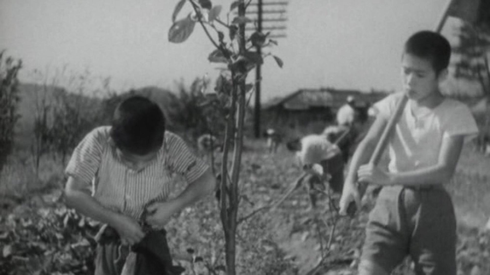 Introspection Tower (1941)