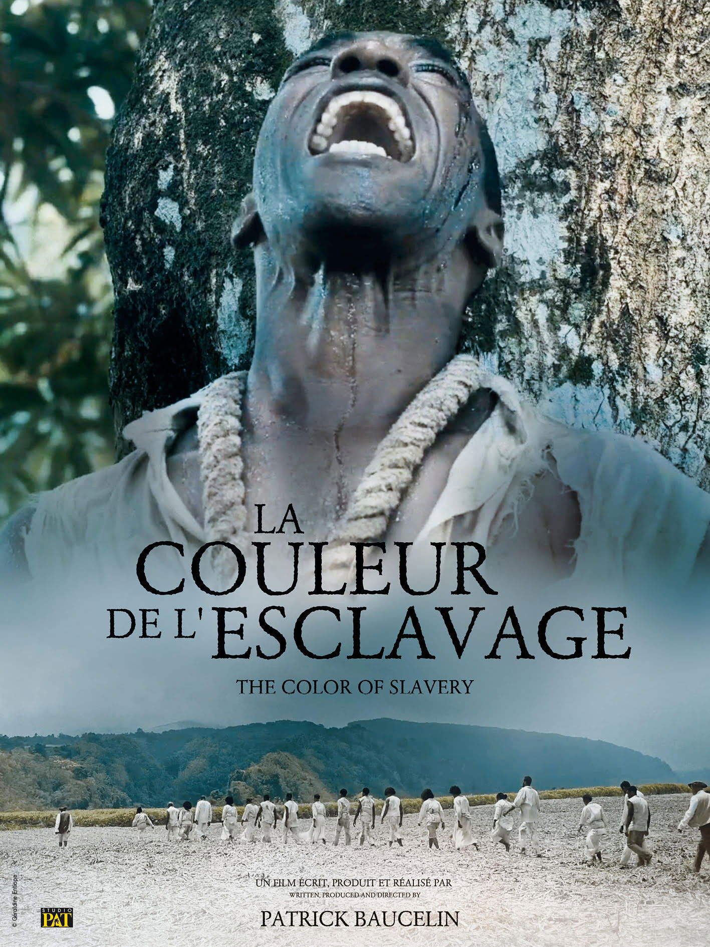 La Couleur de l'esclavage