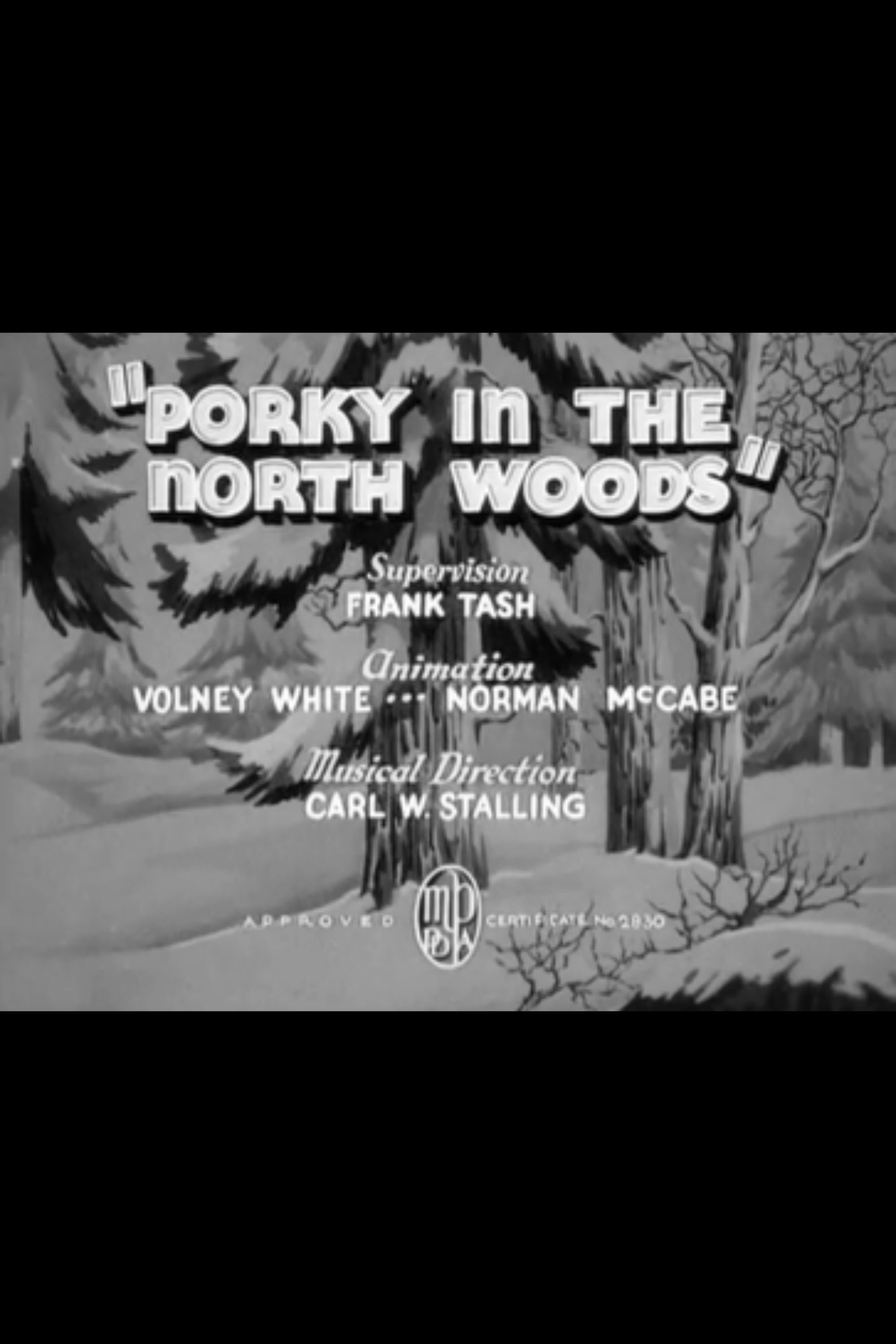 Porky in the North Woods