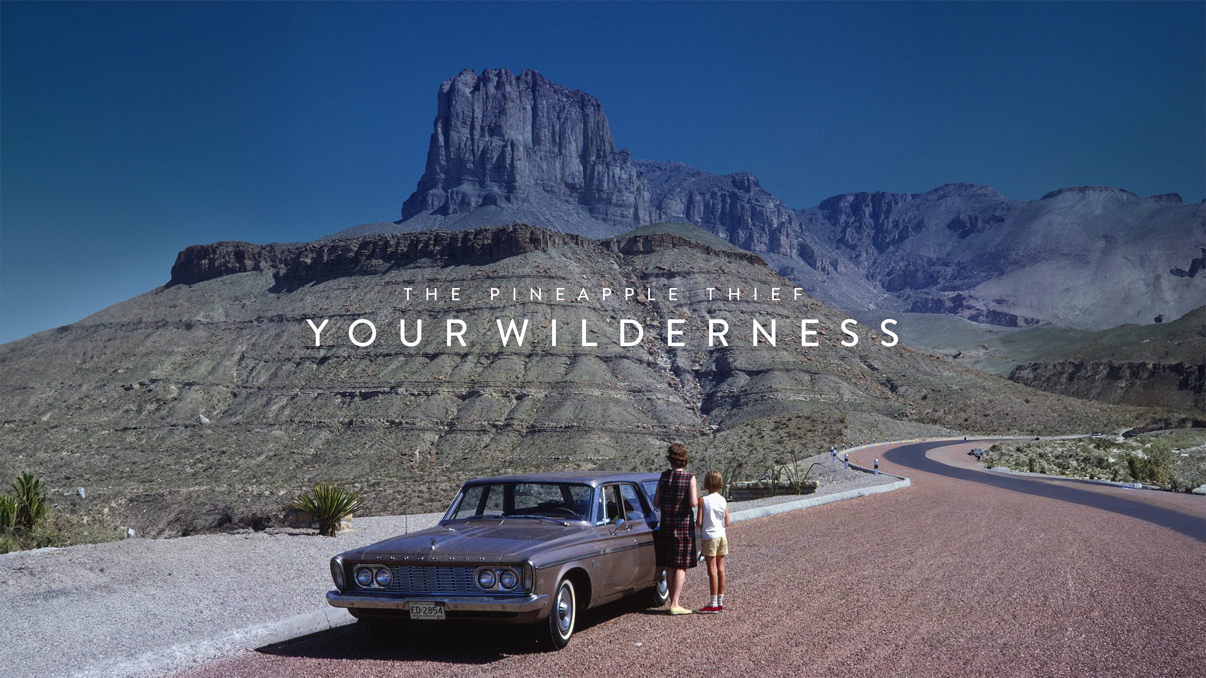 The Pineapple Thief: Your Wilderness (2017)