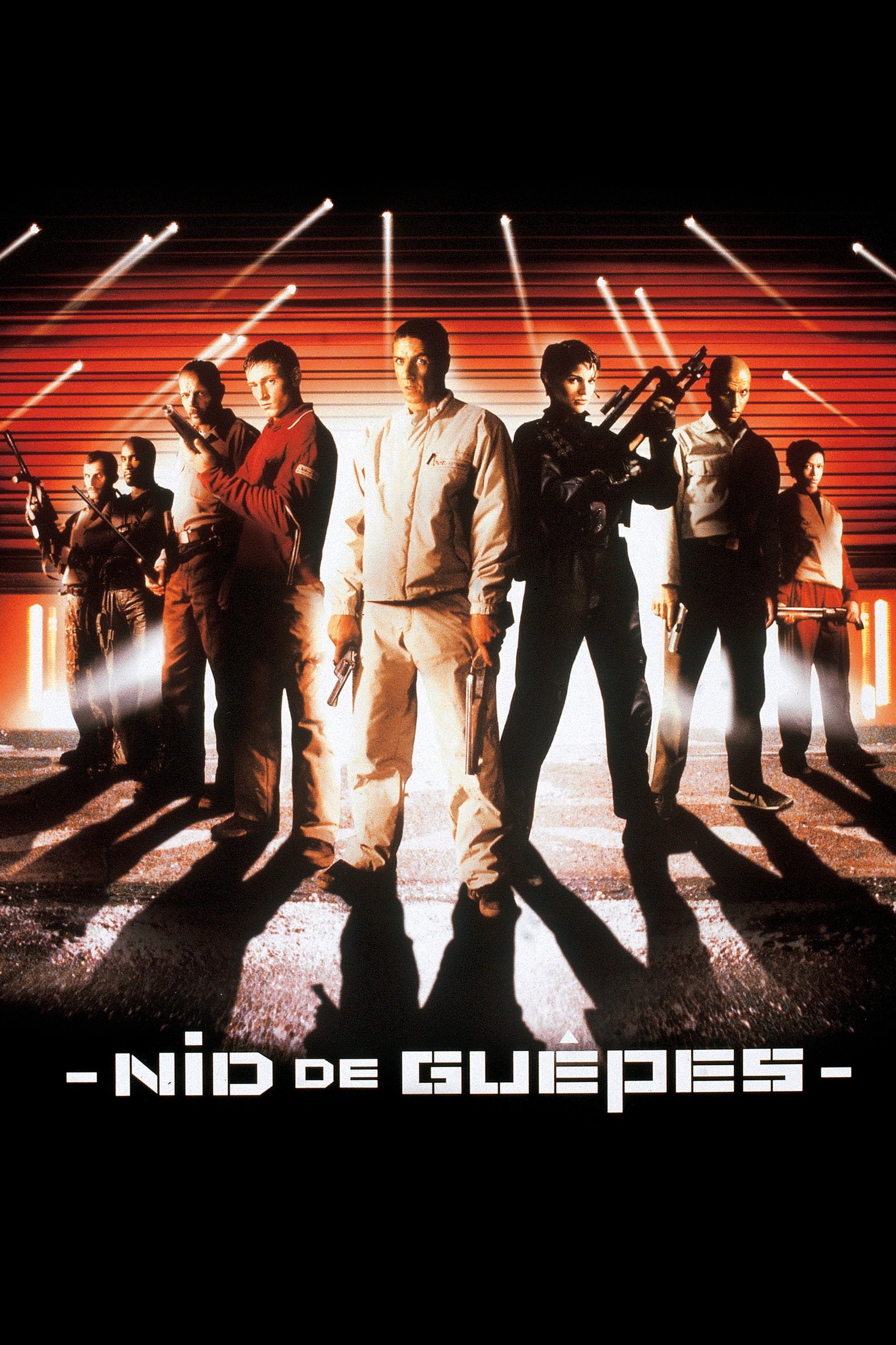 Affiche du film Nid de guêpes 17871