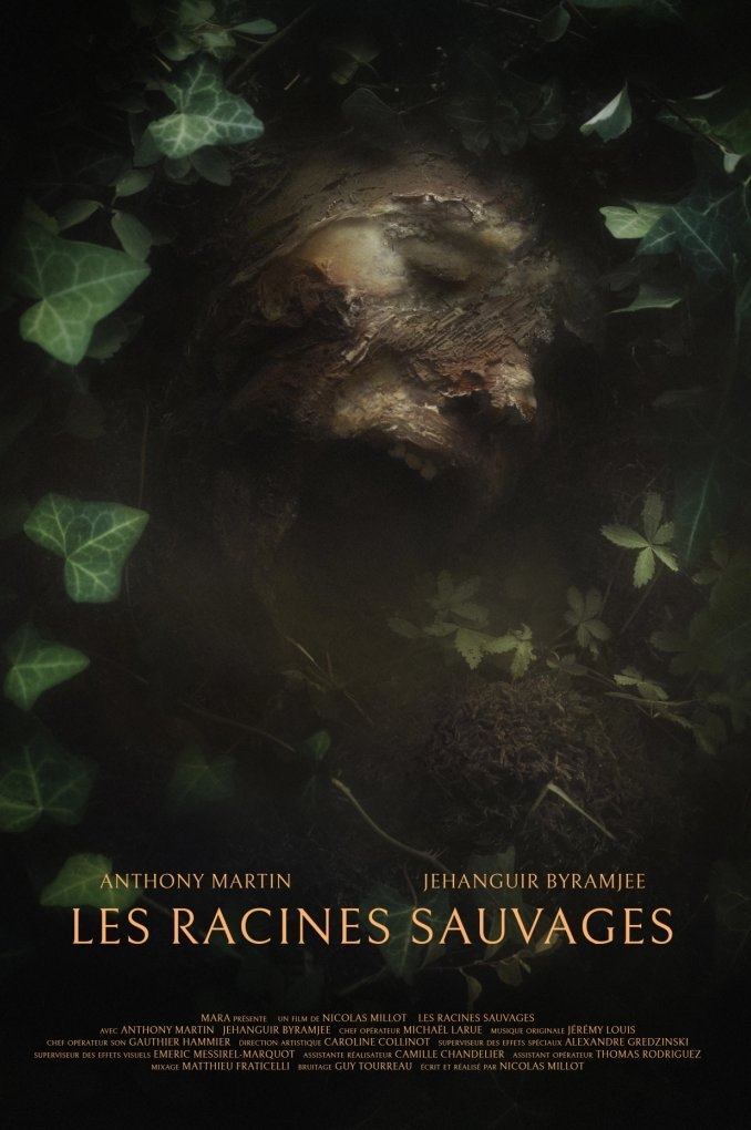 Les Racines Sauvages Les Racines Sauvages