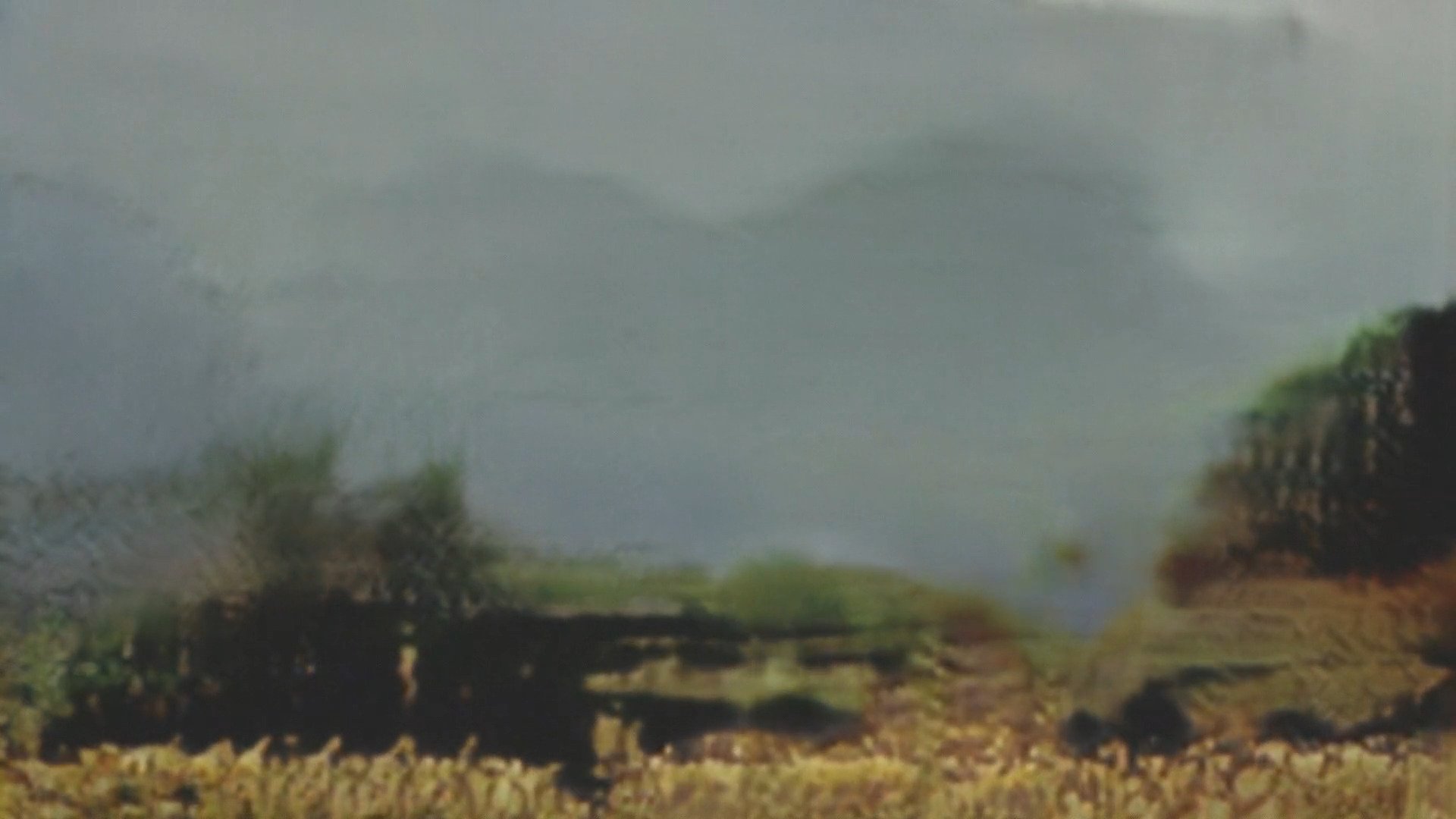 Imagem do Filme Untitled 3 (I withdraw.)