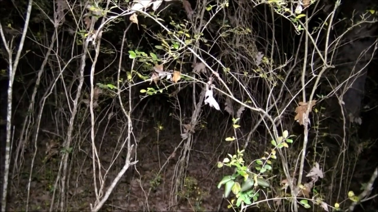 Paranormal Caught on Camera