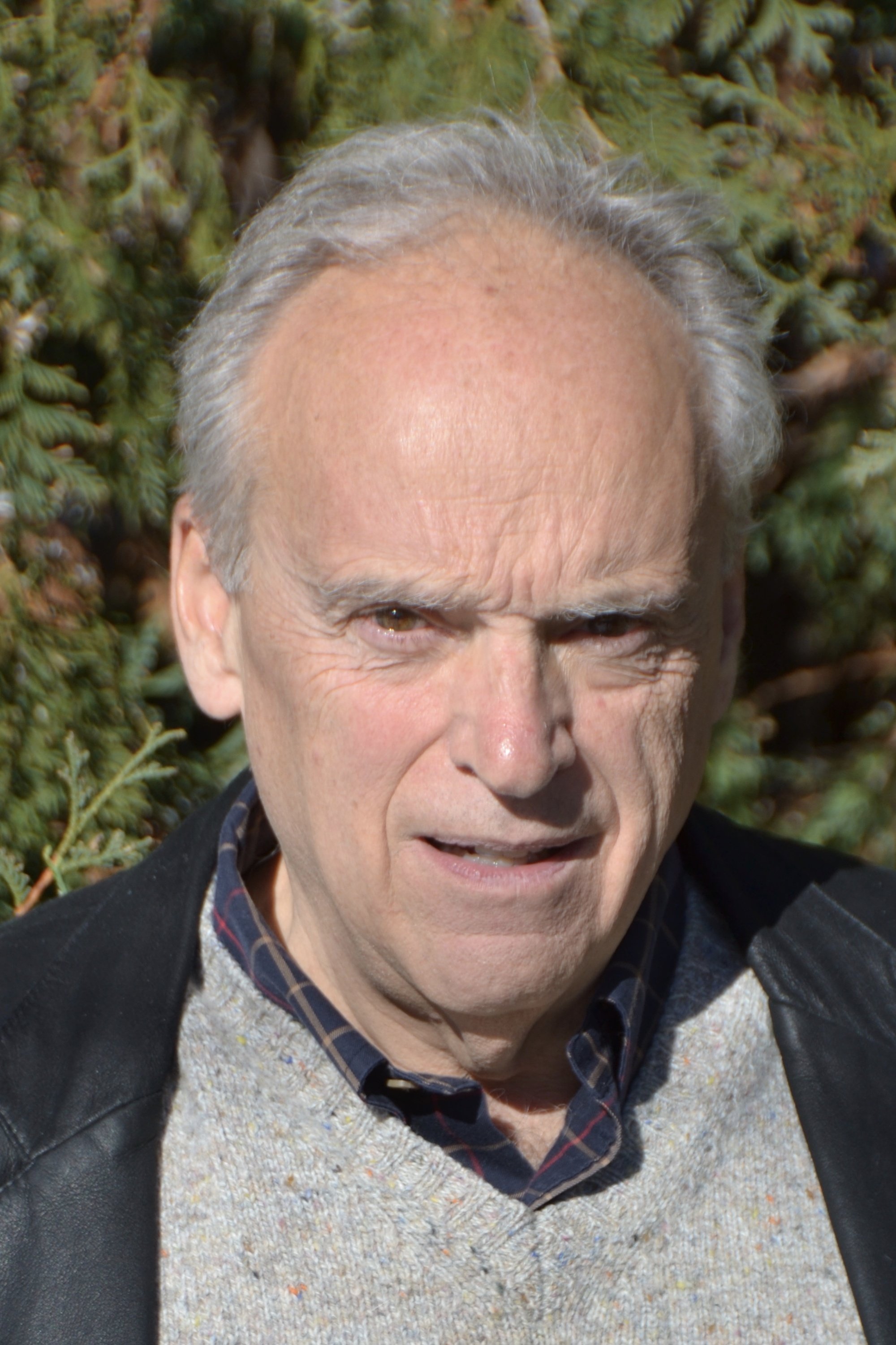 et billede af Charles Brandt