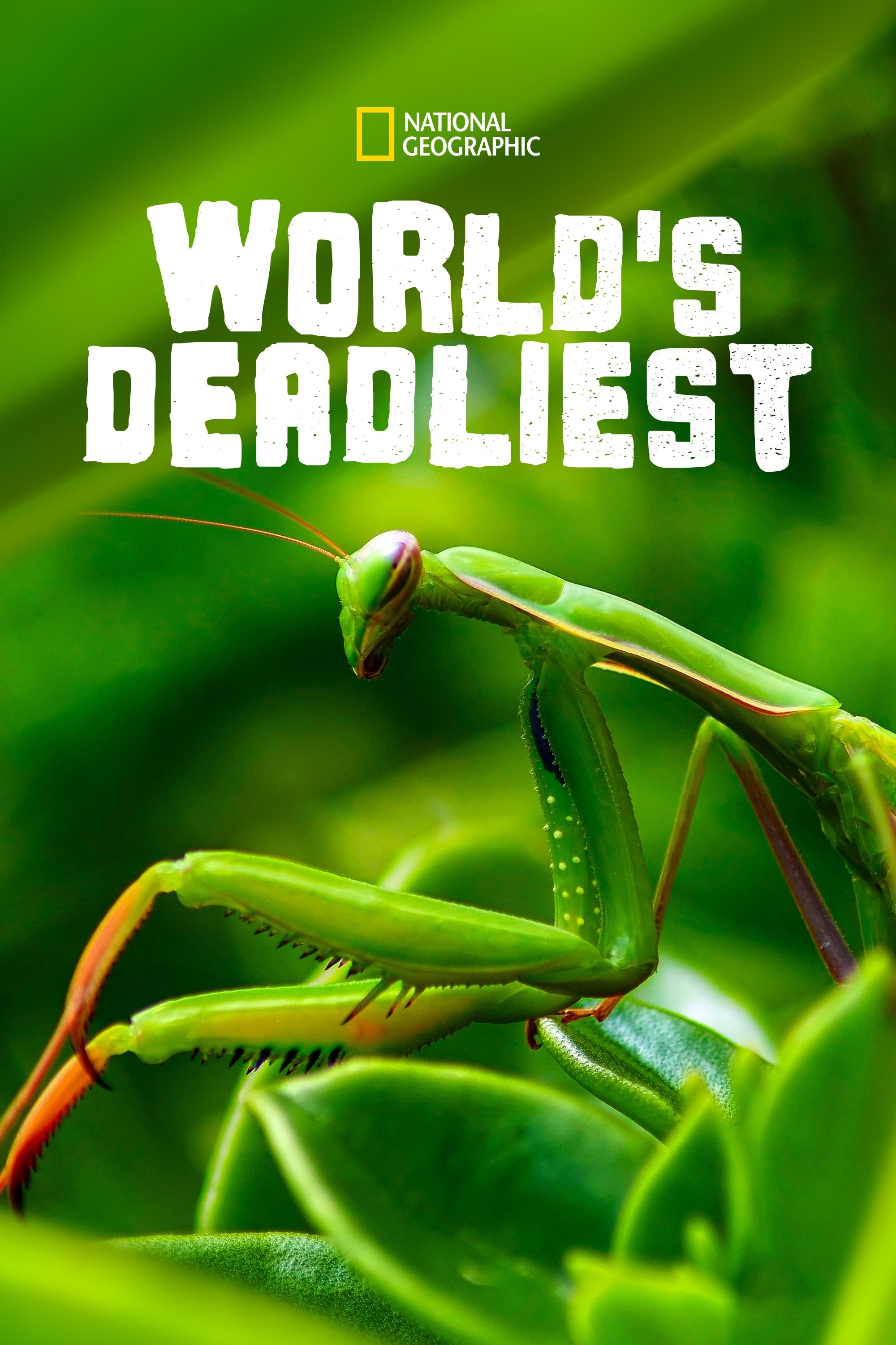 World's Deadliest - Season 3