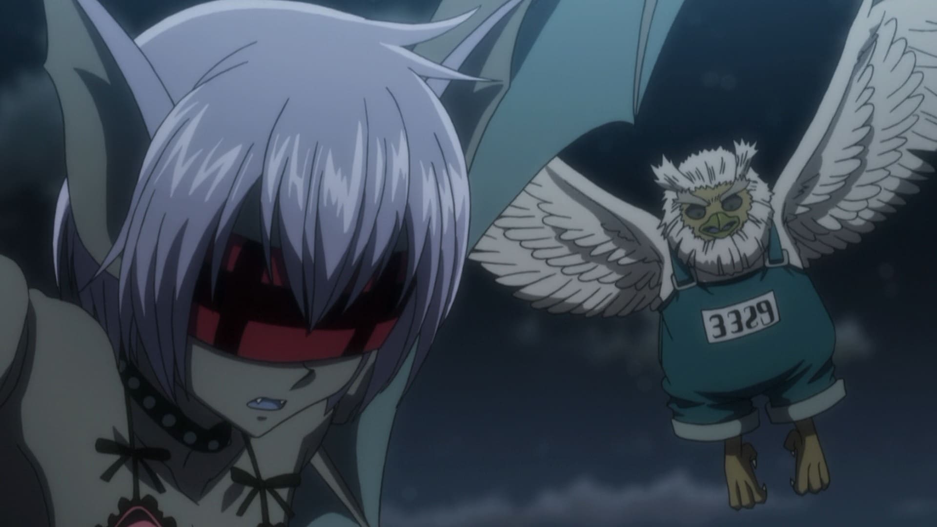 Hunter x Hunter Season 2 :Episode 99  Combination x And x Evolution