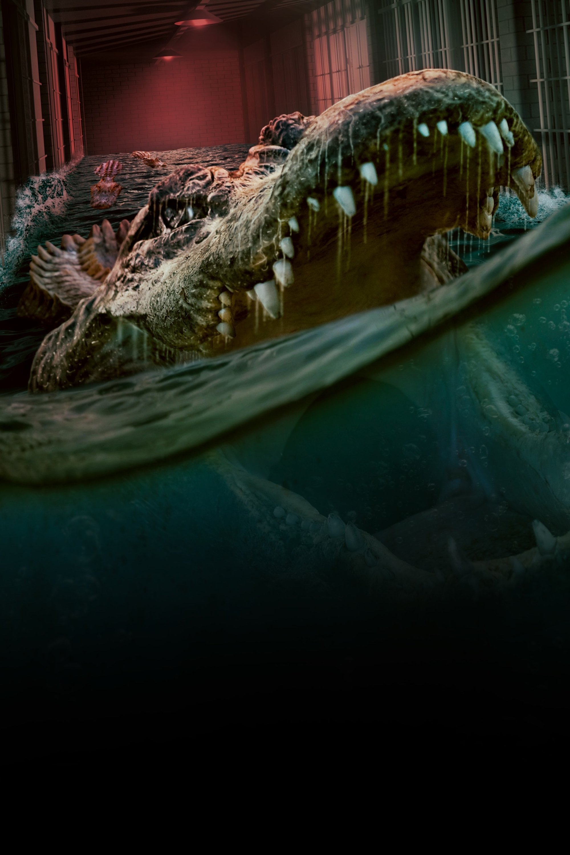No Lag Poster 4