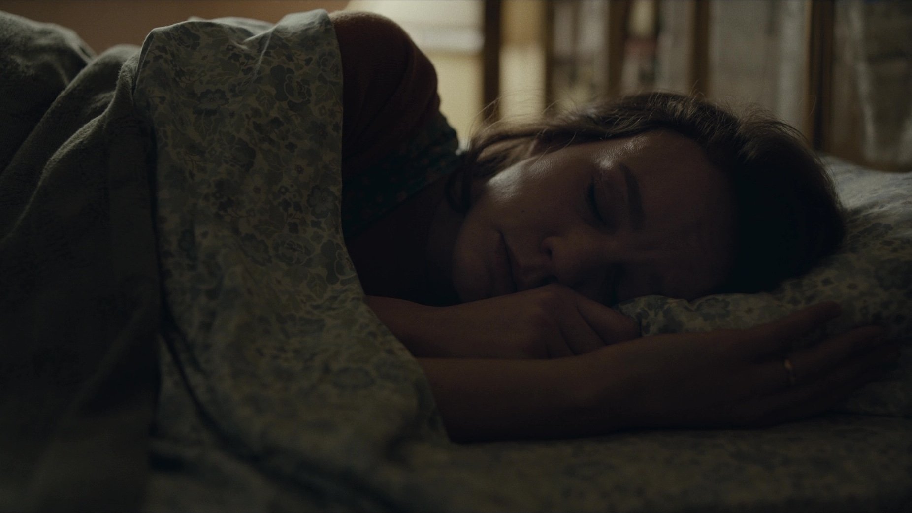 Wildlife (2018)
