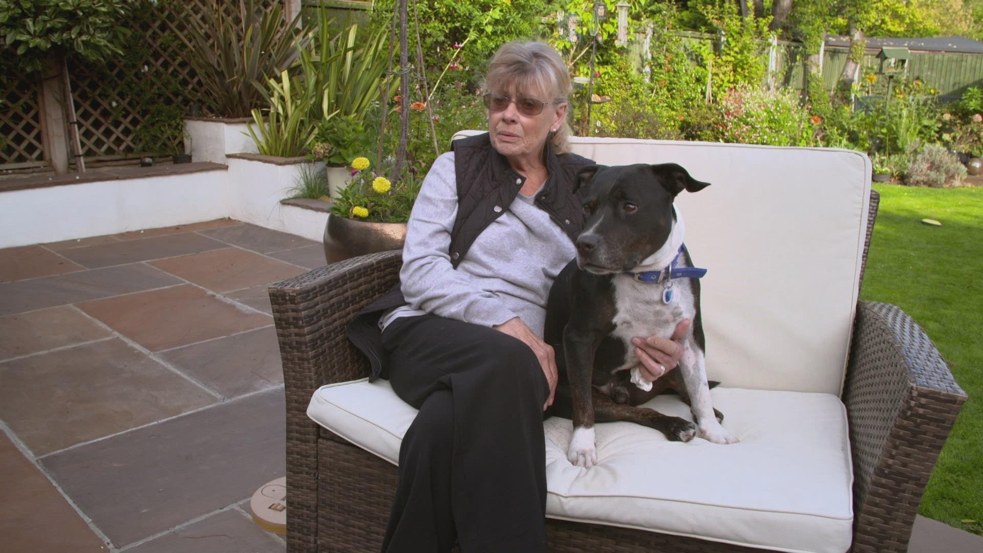 Paul O'Grady, pour l'amour des chiens - Épisode 8