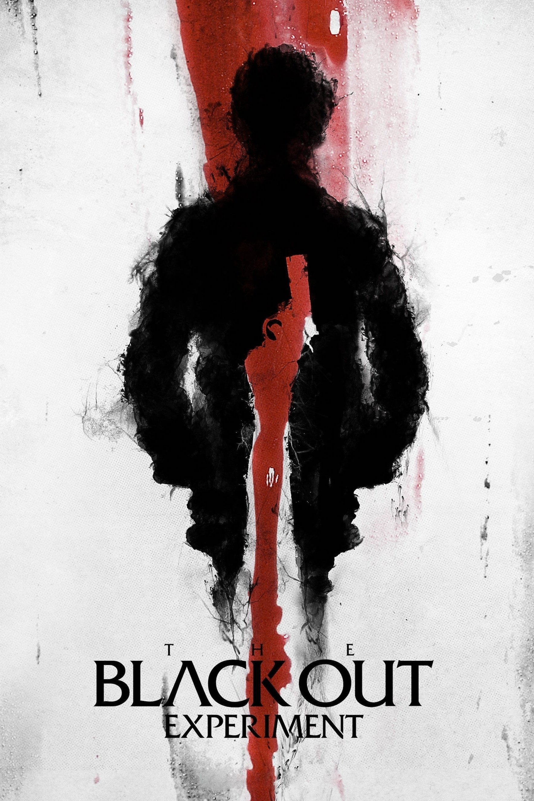 The Blackout Experiment