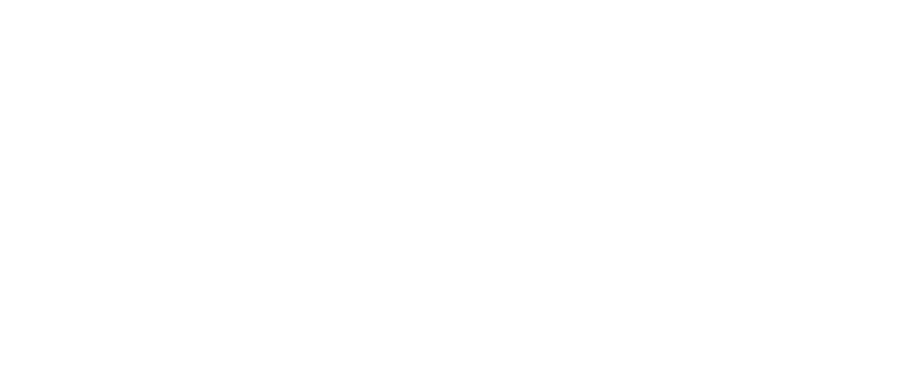 Baggage Claim Logo