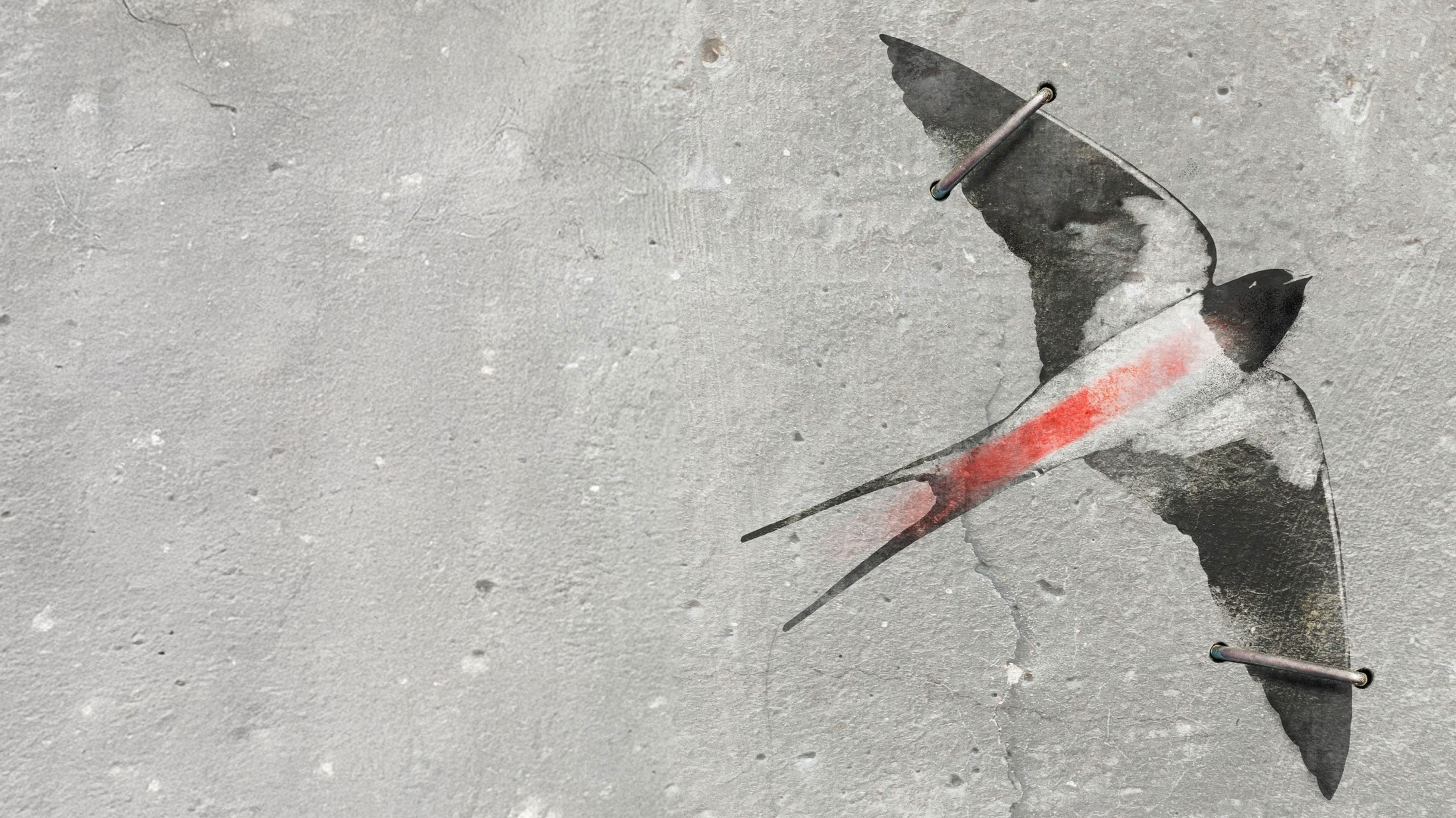 Under the Grey Sky (2025)