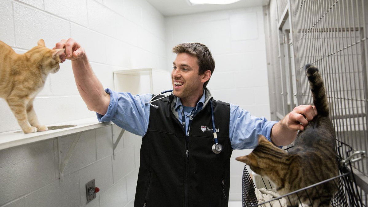 Thumbnail for No Sleep 'Til Graduation Season 1 Episode 1