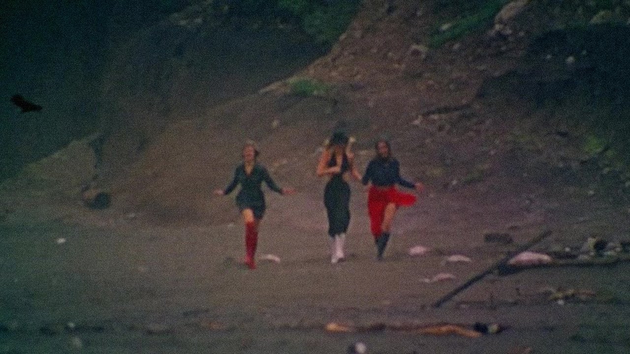 Fraulein Leather (1970)
