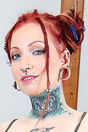 et billede af Jezzi Cat