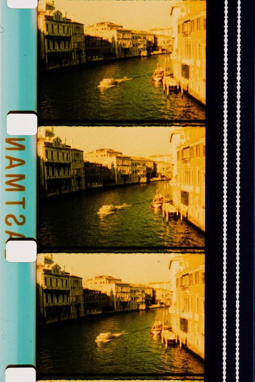 Dreaming in Yellow While Searching for Carpaccio's Gold